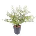 Asparagus artificiel plastique