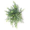 Peperomia artificiel CHUTE PLAST