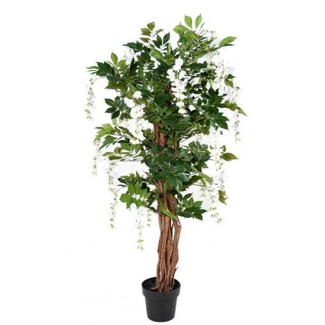 GLYCINE artificielle