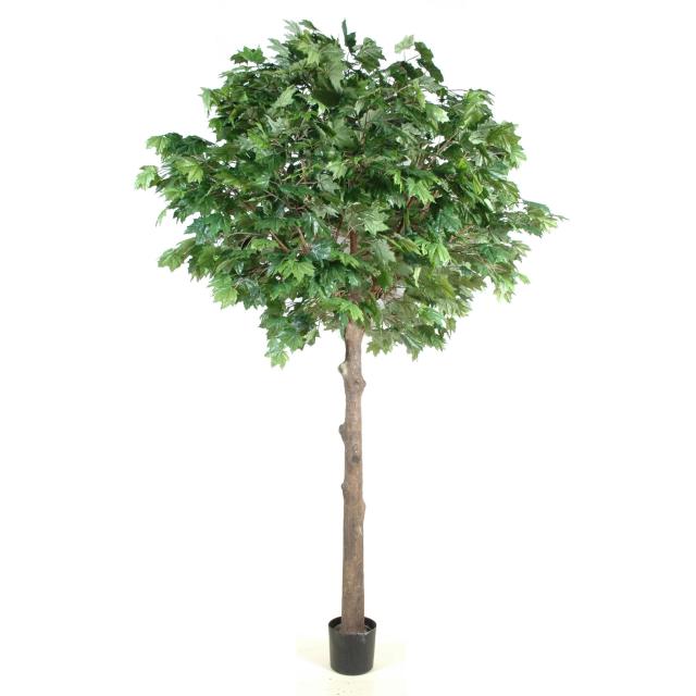 PLATANE Artificiel TETE PLATINE