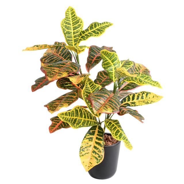 Mini Croton Artificiel à Piquer