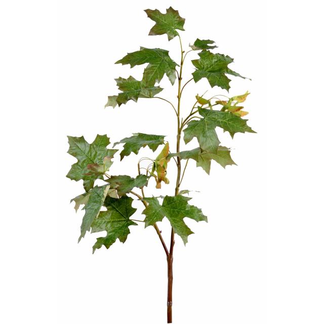 Erable artificiel BRANCHE