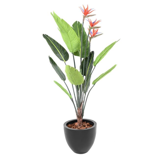 STRELITZIA Artificiel 11F 3Fl 150