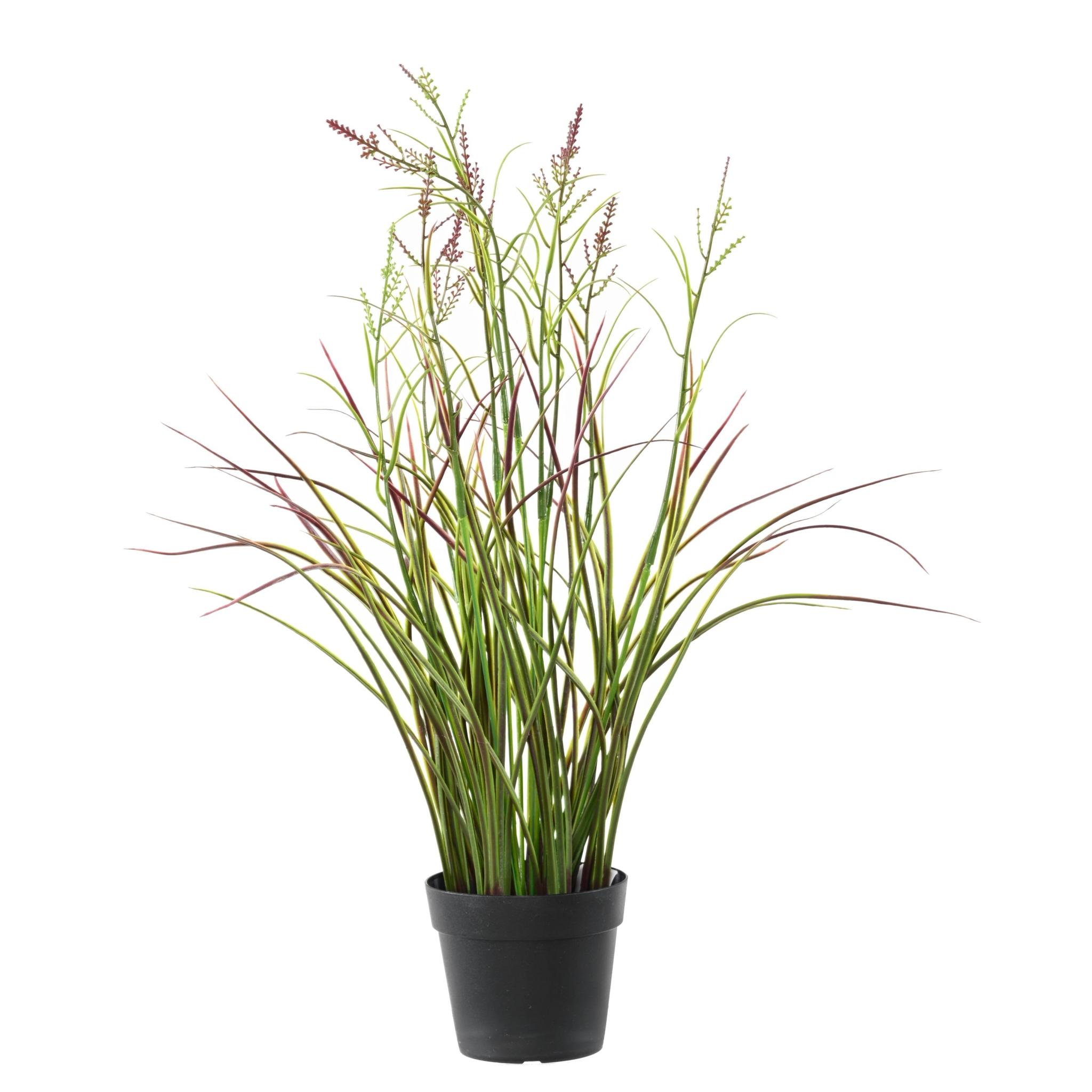 Acorus artificiel fleuri en pot