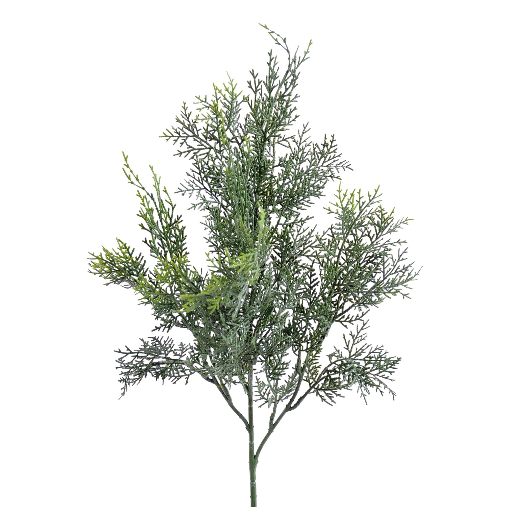 Cyprès artificiel de Lawson